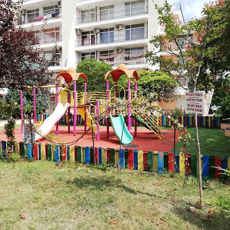 Daisy Grand Kamelia *