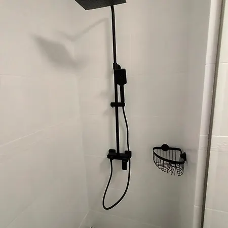 Daisy Grand Kamelia * 阳光海滩