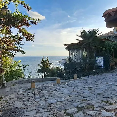 Daisy Grand Kamelia Apartman *